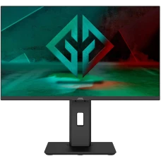 Монитор GMNG Gaming GM-24F03 черный (GM24SG03)