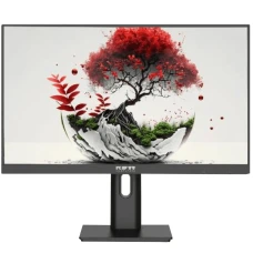 Монитор RDW Computers RDW2401K черный (F08В3100V2A1)