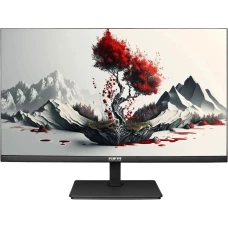 Монитор RDW Computers 2401K черный (F00В3100V2A1H)