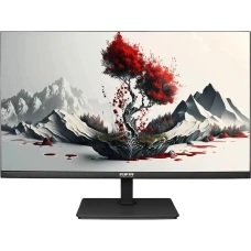 Монитор RDW Computers RDW2401K черный (2401K/F00В3120V2A1)